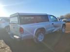 2004 Dodge Dakota sxt