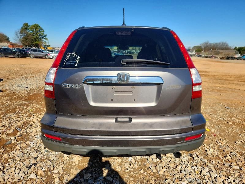 2010 Honda Cr-v exl