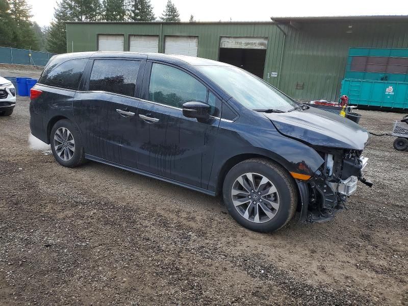 2024 Honda Odyssey exl
