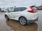 2019 Honda Cr-v exl