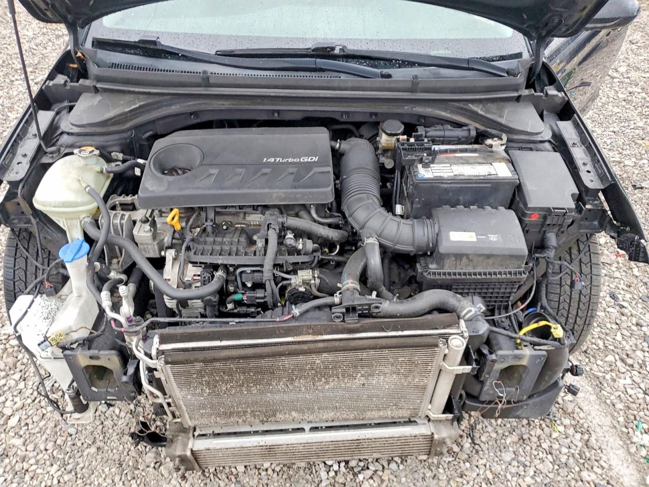 2020 Hyundai Elantra eco