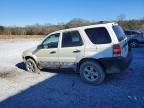 2005 Ford Escape xlt