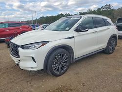 2022 Infiniti Qx50 Luxe for sale in Greenwell Springs, LA