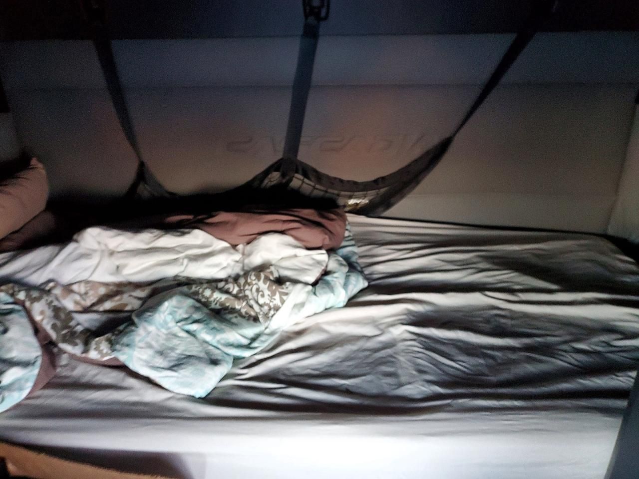 2019 Freightliner Cascadia 126 Semi Truck