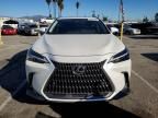 2024 Lexus Nx 350h Base