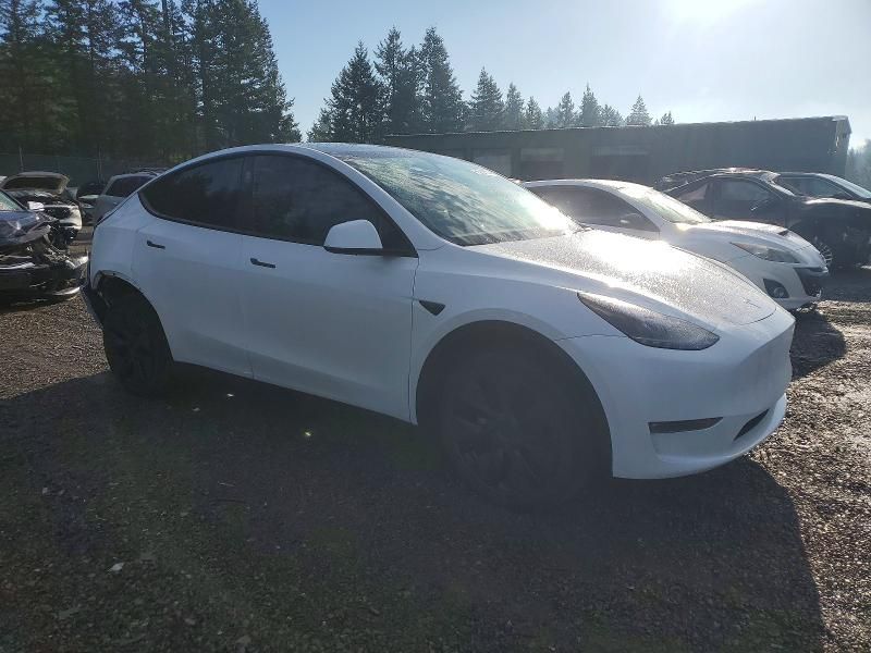 2025 Tesla Model y