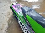 2015 Arctic Cat IC Cat