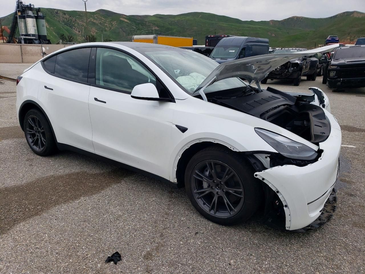 2025 Tesla Model y