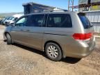 2010 Honda Odyssey exl