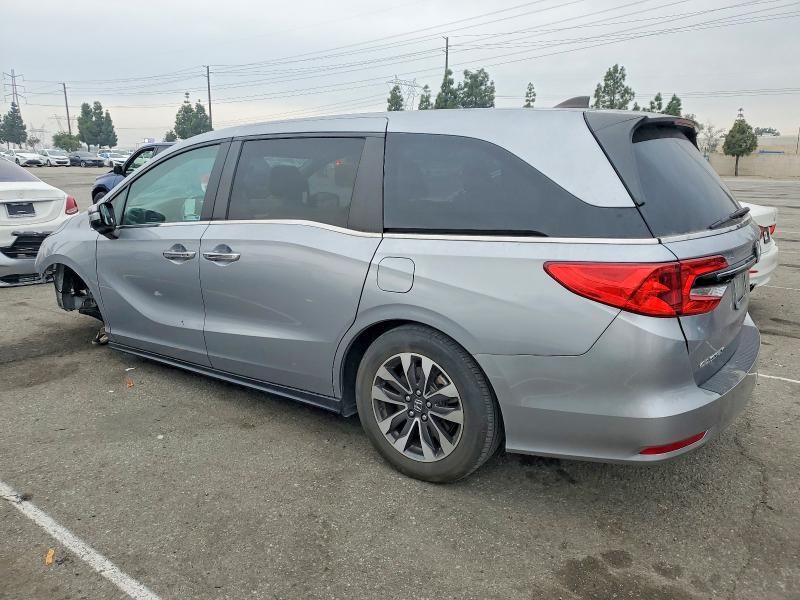 2023 Honda Odyssey exl