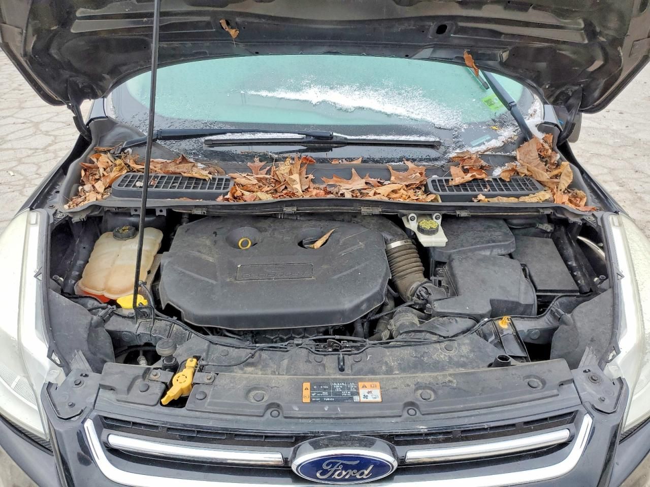 2014 Ford Escape Titanium