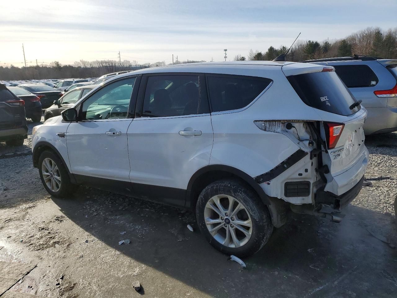 2019 Ford Escape se