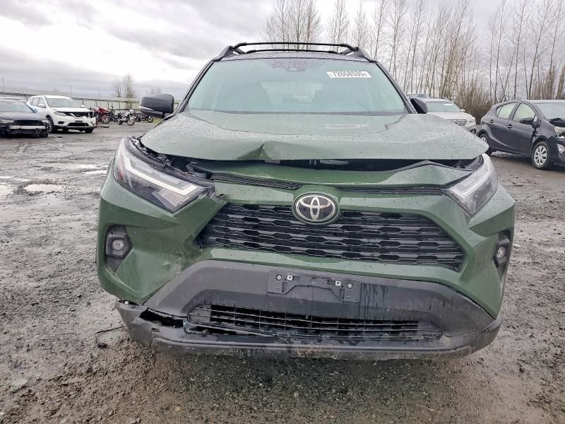2025 Toyota Rav4 Woodland Edition