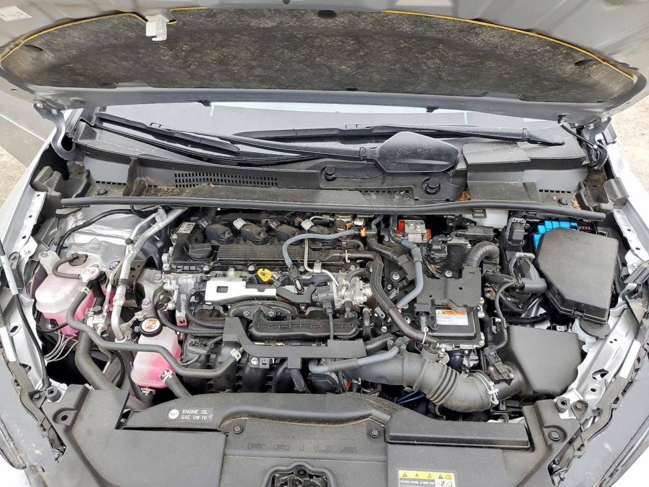 2024 Toyota Prius le