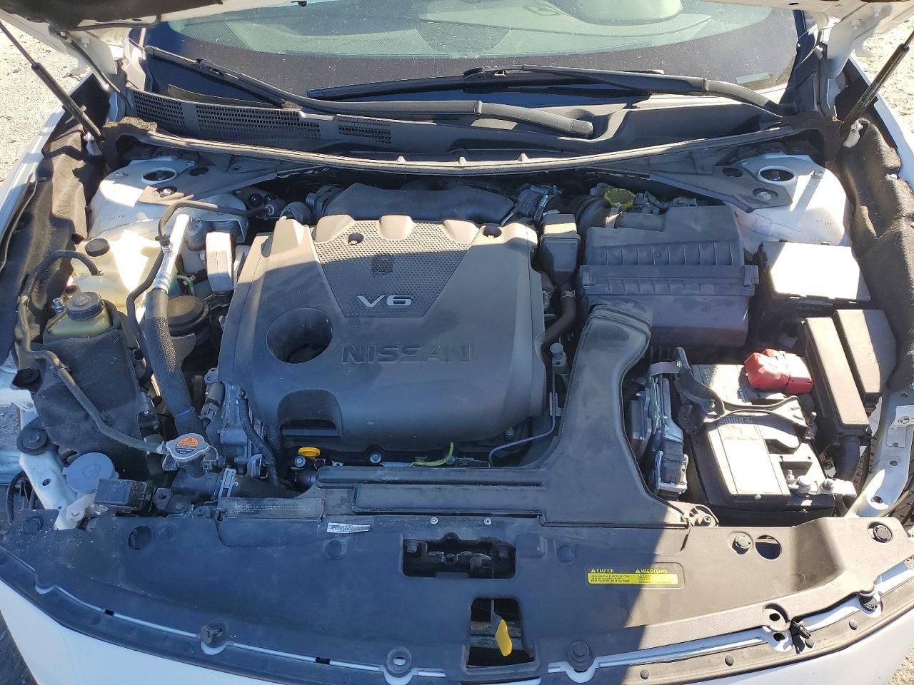 2023 Nissan Maxima sr