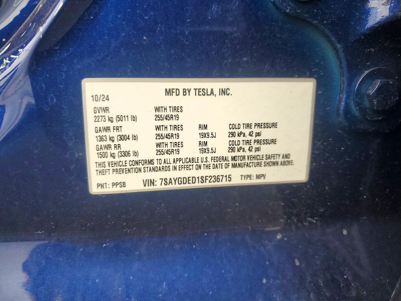 2025 Tesla Model y