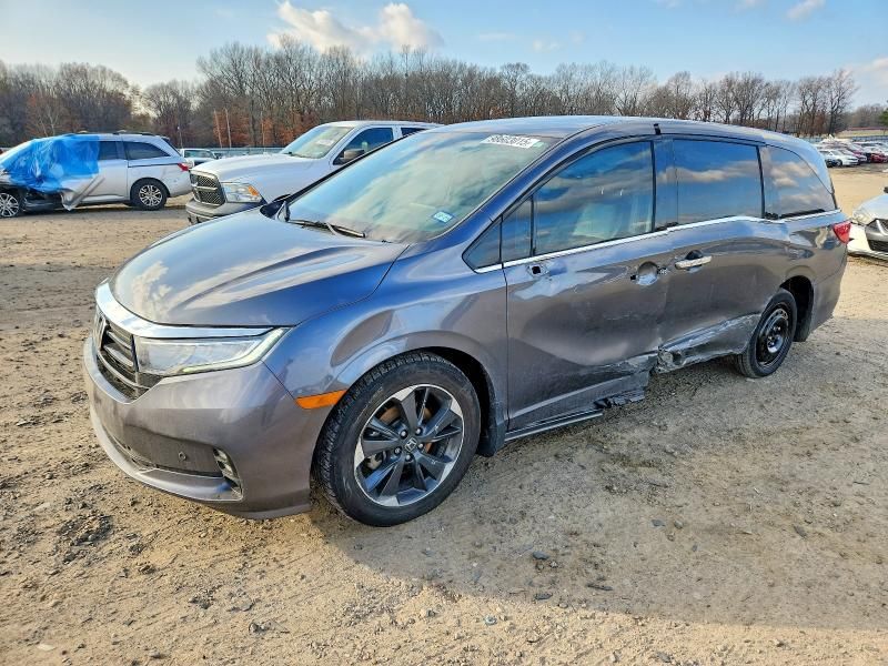 2023 Honda Odyssey Elite