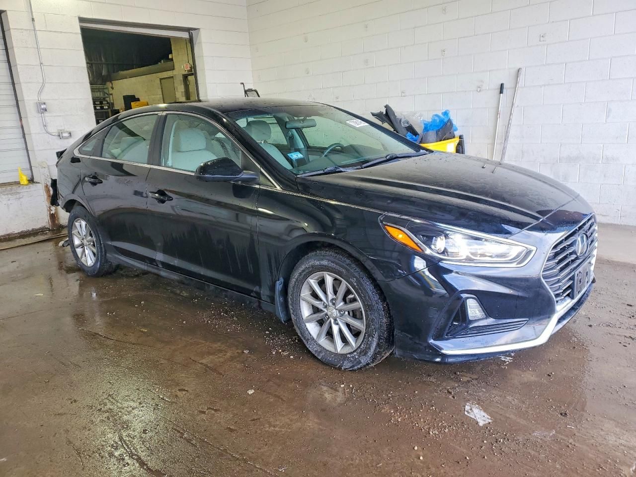 2019 Hyundai Sonata se