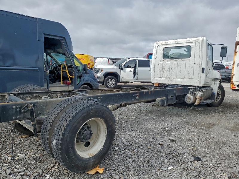 2019 Hino 338 Truck Cab AND Chassis