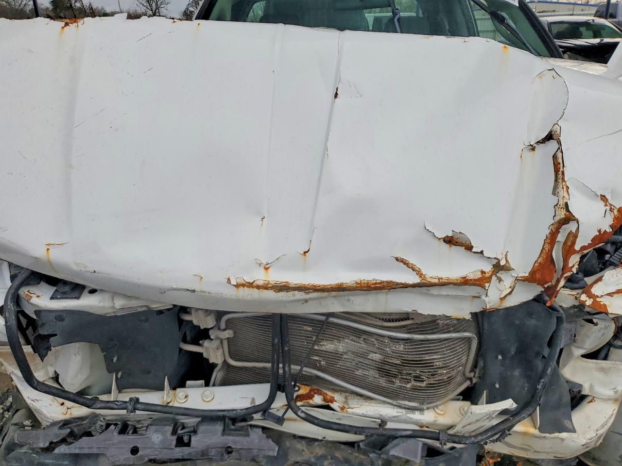 2010 Dodge Dakota SXT