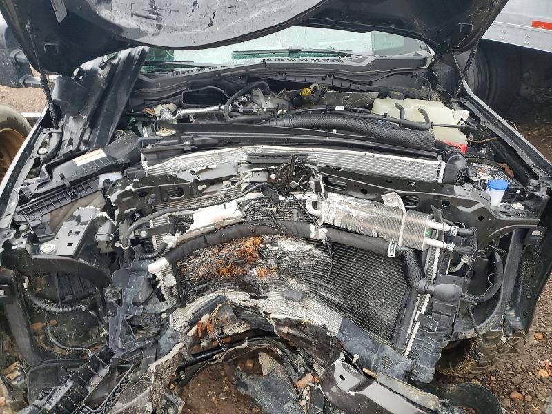 2025 Ford Super Duty F-450 W/D