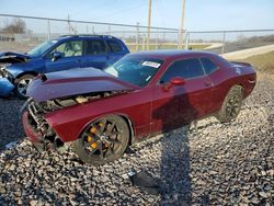 2019 Dodge Challenger gt for sale in Cicero, IN