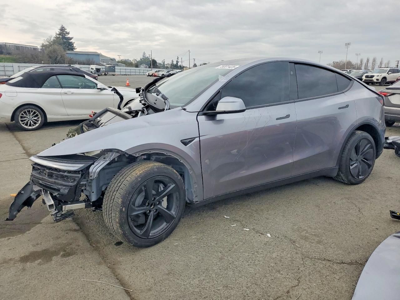 2026 Tesla Model y