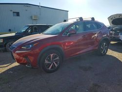 2020 Lexus Nx 300 en venta en Tucson, AZ