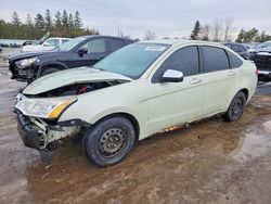 2011 Ford Focus se for sale in Bowmanville, ON