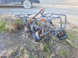 Honda salvage cars for sale: 2024 Honda Rancher ATV