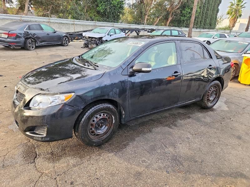 2009 Toyota Corolla Base