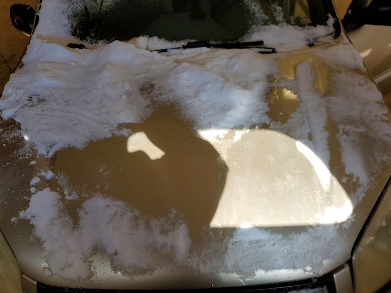 2005 Toyota Rav4 Base