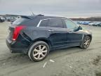 2013 Cadillac Srx Performance Collection