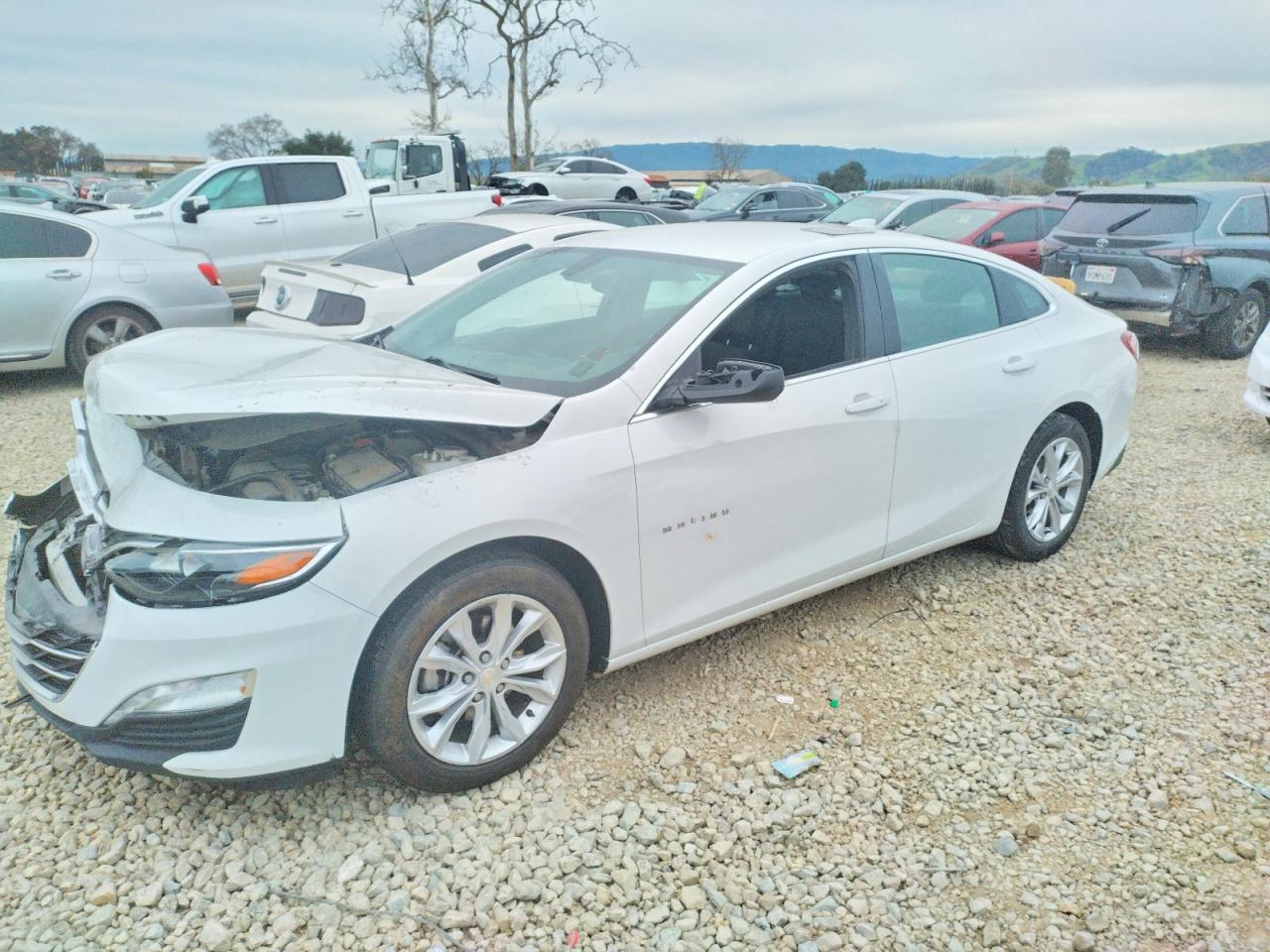 2019 Chevrolet Malibu lt