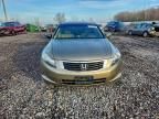 2008 Honda Accord ex