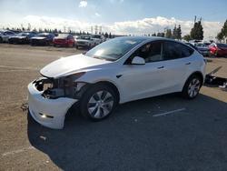 Tesla salvage cars for sale: 2024 Tesla Model y