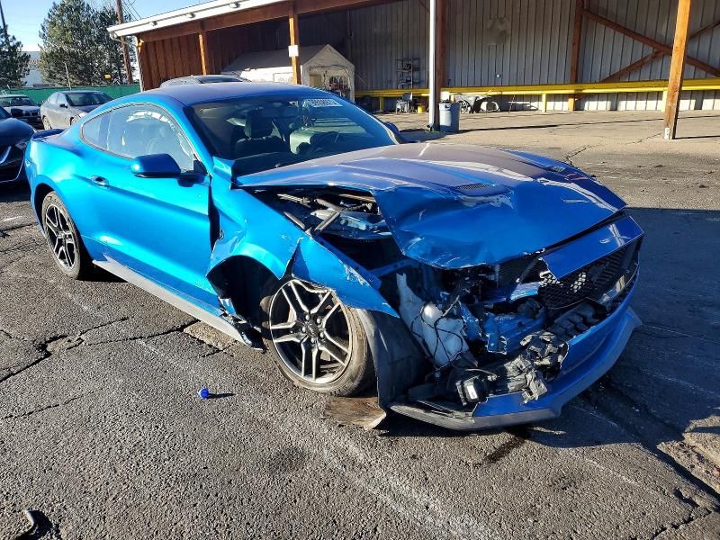 2019 Ford Mustang gt