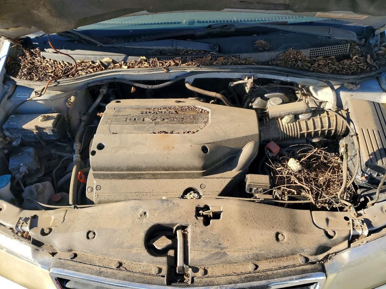 2003 Honda Odyssey exl