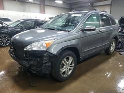Salvage cars for sale from Copart Elgin, IL: 2010 Honda Cr-v exl
