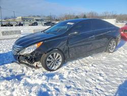 Hyundai Sonata salvage cars for sale: 2013 Hyundai Sonata se