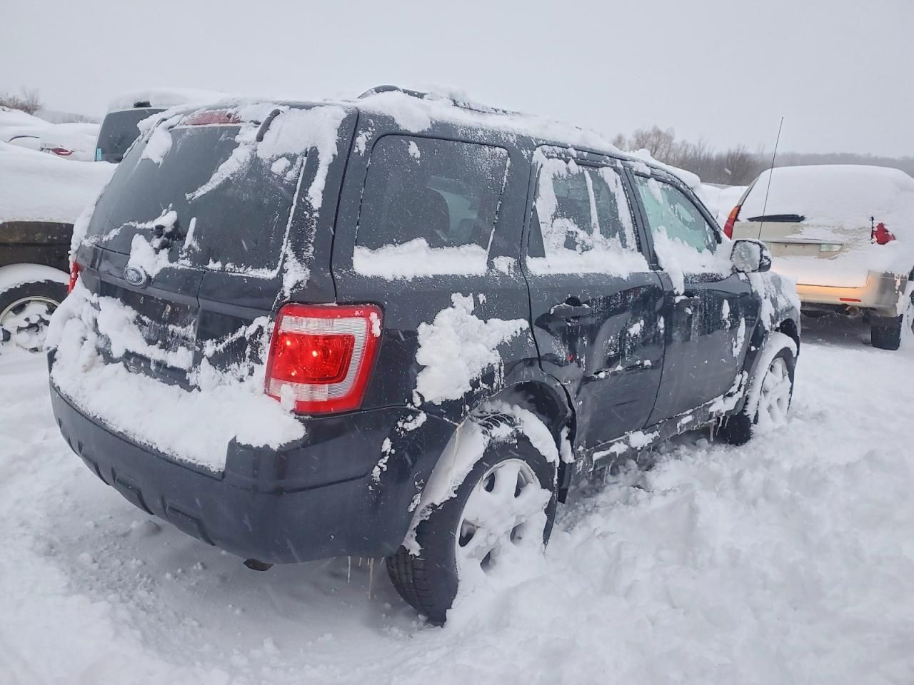 2010 Ford Escape xlt