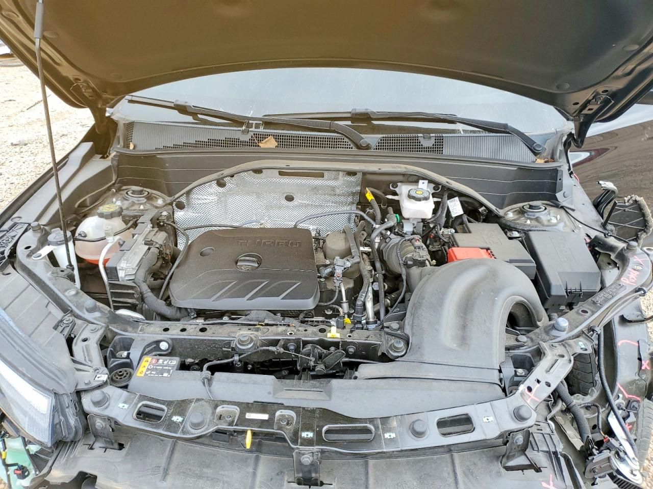 2024 Chevrolet Trailblazer lt