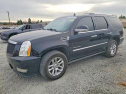 Salvage cars for sale from Copart Mentone, CA: 2011 Cadillac Escalade Premium