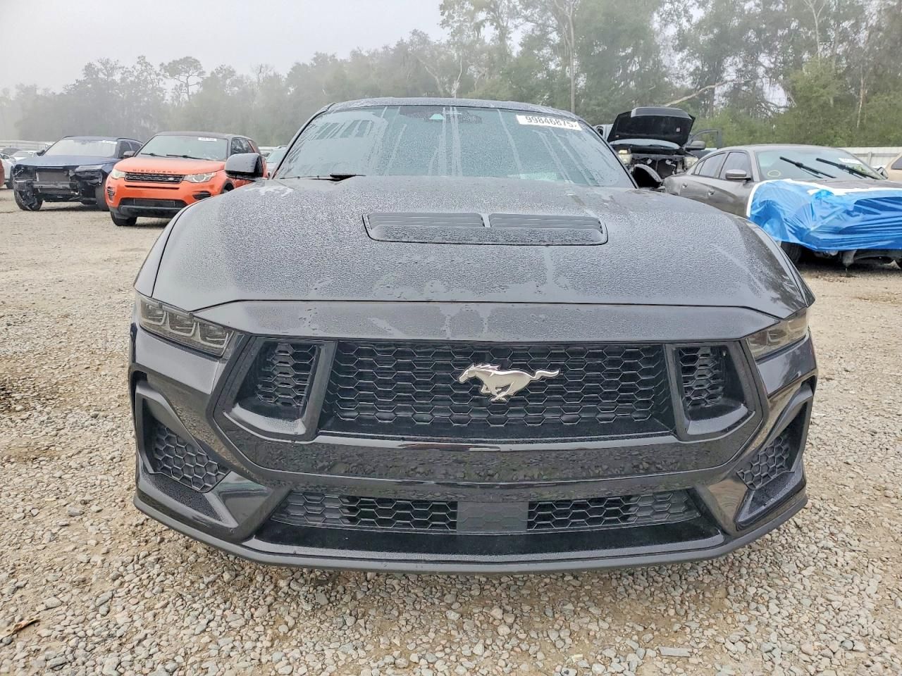 2025 Ford Mustang gt