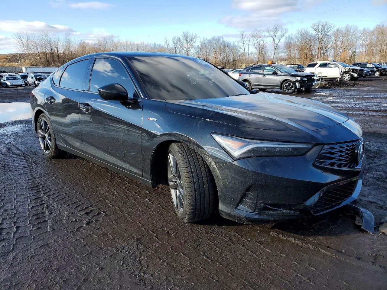 2025 Acura Integra A-spec