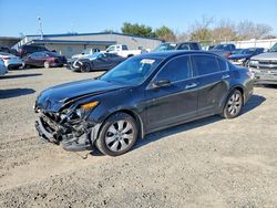 Vehiculos salvage en venta de Copart Sacramento, CA: 2010 Honda Accord exl