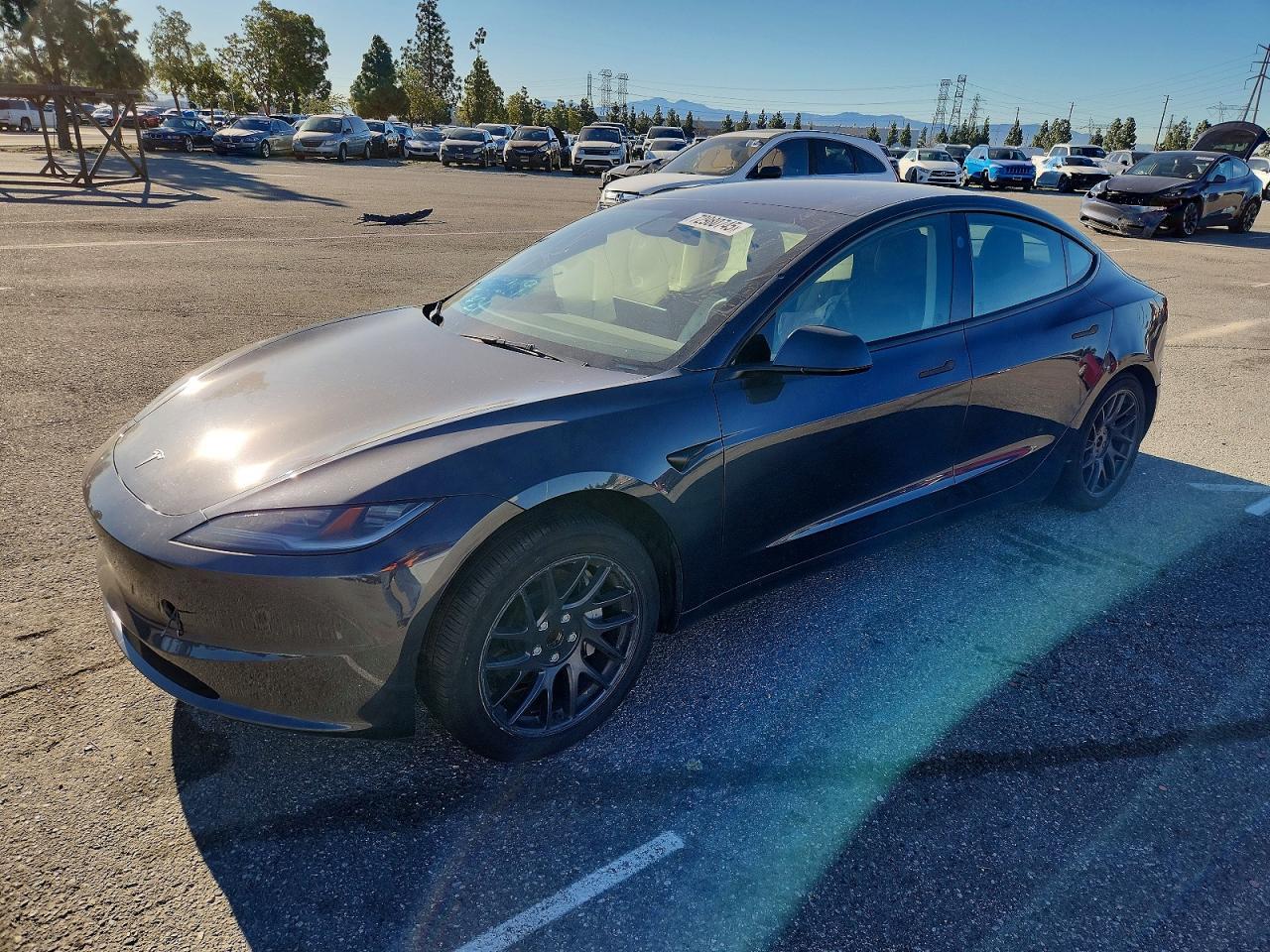 2024 Tesla Model 3
