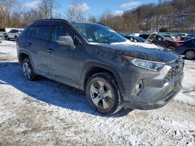 2019 Toyota Rav4 xle