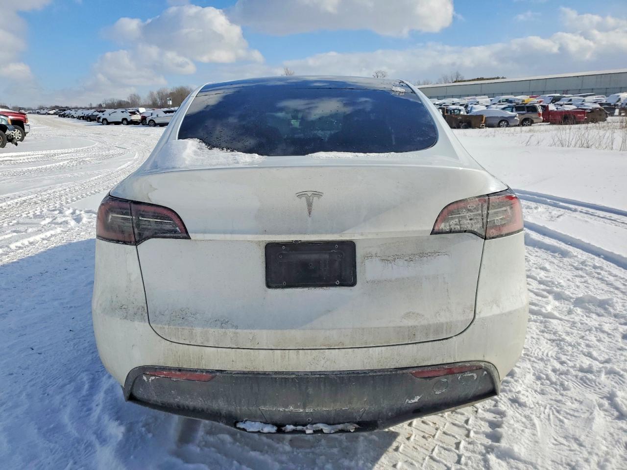 2024 Tesla Model y