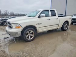 2009 Dodge RAM 1500 en venta en Lawrenceburg, KY